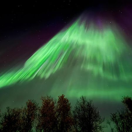 Hakoya Lodge Тромсе Екстер'єр фото