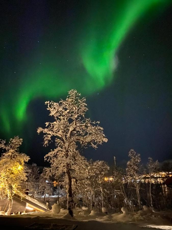 Hakoya Lodge Тромсе Екстер'єр фото