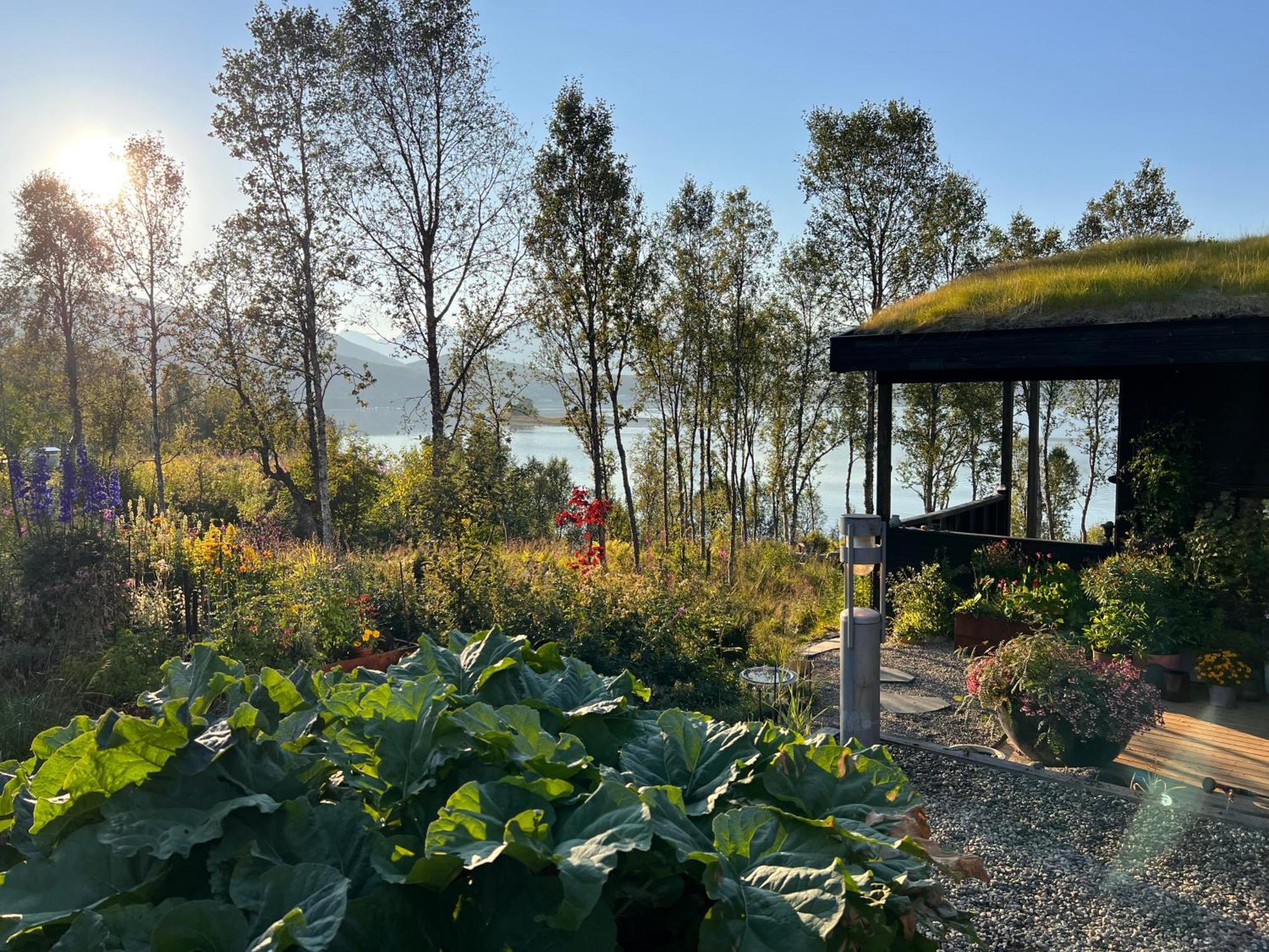 Hakoya Lodge Тромсе Екстер'єр фото